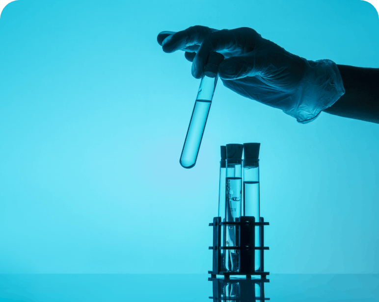 servicio asesoría para producción